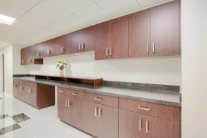 Photo of recently completed medical office storage area