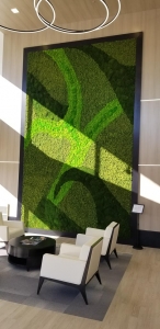 Photo of art installment in a recently completed medical office.