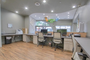 Photo of workstation desks in a recently completed pediatric dental office construction project.