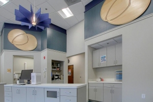 Photo of exam room storage in a recently completed dental office construction project